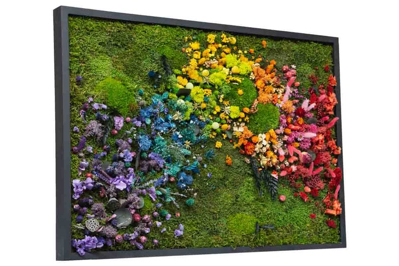 Rainbow Moss wall art with bun moss, colourful lichen, flat moss or fern moss Preserved and dried flowers Verti-Grow image 1