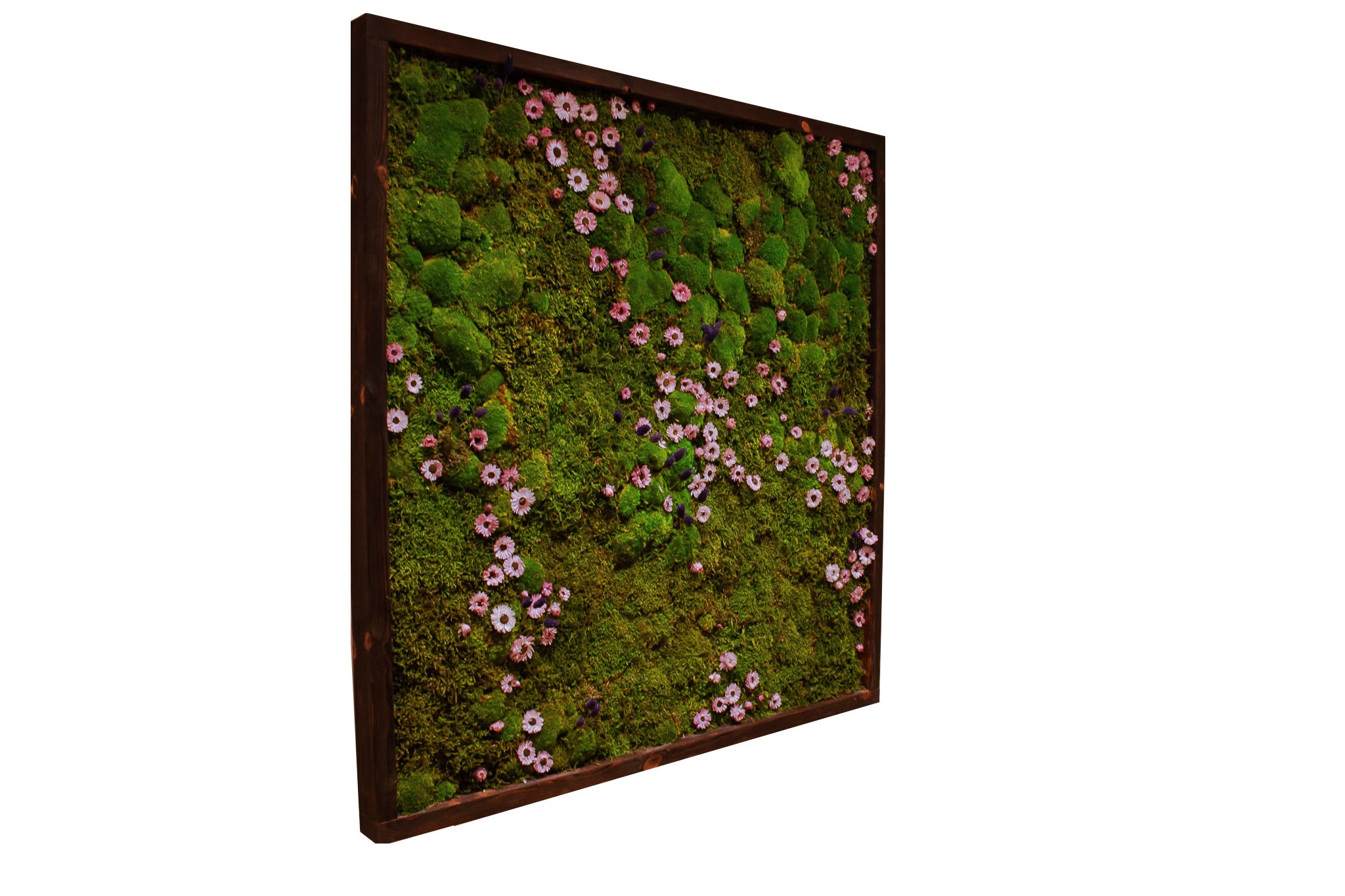 Moss Wall Art 100 real and preserved Flower Etsy
