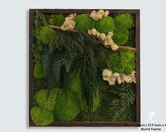 New Forest | Botanical moss wall art | Preserved moss and ferns wall art with white lichen | Verti-Grow