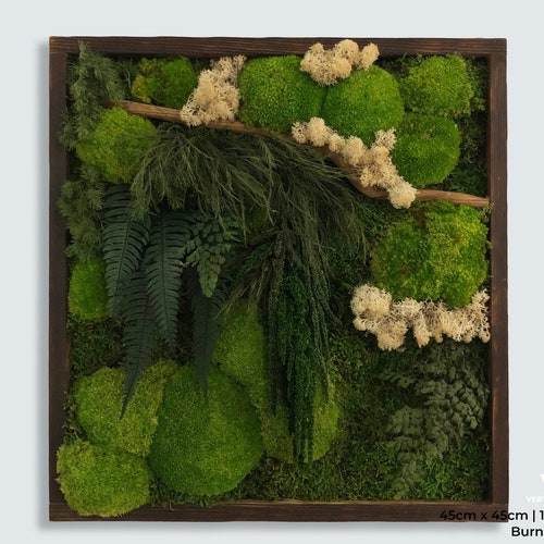 The Botanica House - Extra Lush Moss Art