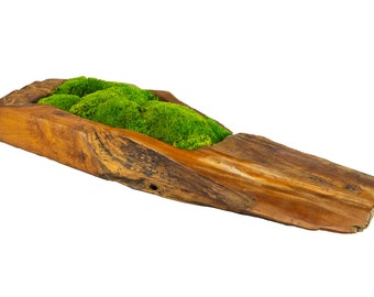 Teak Root Wood Log Bun Moss Bowl | 49cm