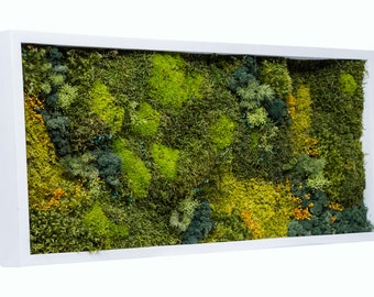 Stanmer Park | Moss wall art | Preserved moss | Interior moss wall | Green wall art | Moss panels | Natural home décor