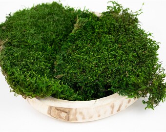 Medium Green Preserved Long Flat Moss | Sheet moss | Carpet moss | Craft supplies | DIY home decor | Moss art