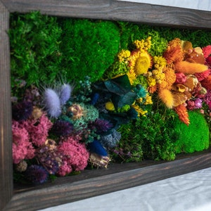 Rainbow Moss wall art with bun moss, colourful lichen, flat moss or fern moss Preserved and dried flowers Verti-Grow image 6