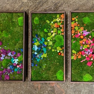 Rainbow Moss wall art with bun moss, colourful lichen, flat moss or fern moss Preserved and dried flowers Verti-Grow image 10