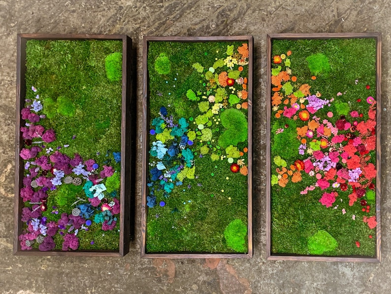 Rainbow Moss wall art with bun moss, colourful lichen, flat moss or fern moss Preserved and dried flowers Verti-Grow image 10