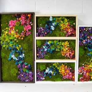 Rainbow Moss wall art with bun moss, colourful lichen, flat moss or fern moss Preserved and dried flowers Verti-Grow image 8