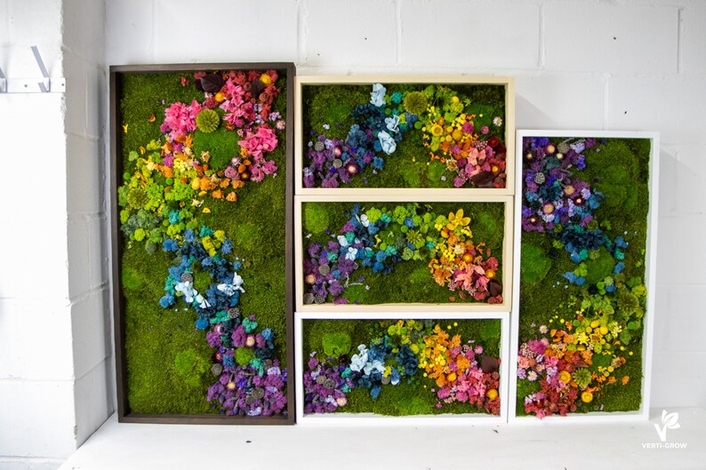 Rainbow Moss wall art with bun moss, colourful lichen, flat moss or fern moss Preserved and dried flowers Verti-Grow image 8