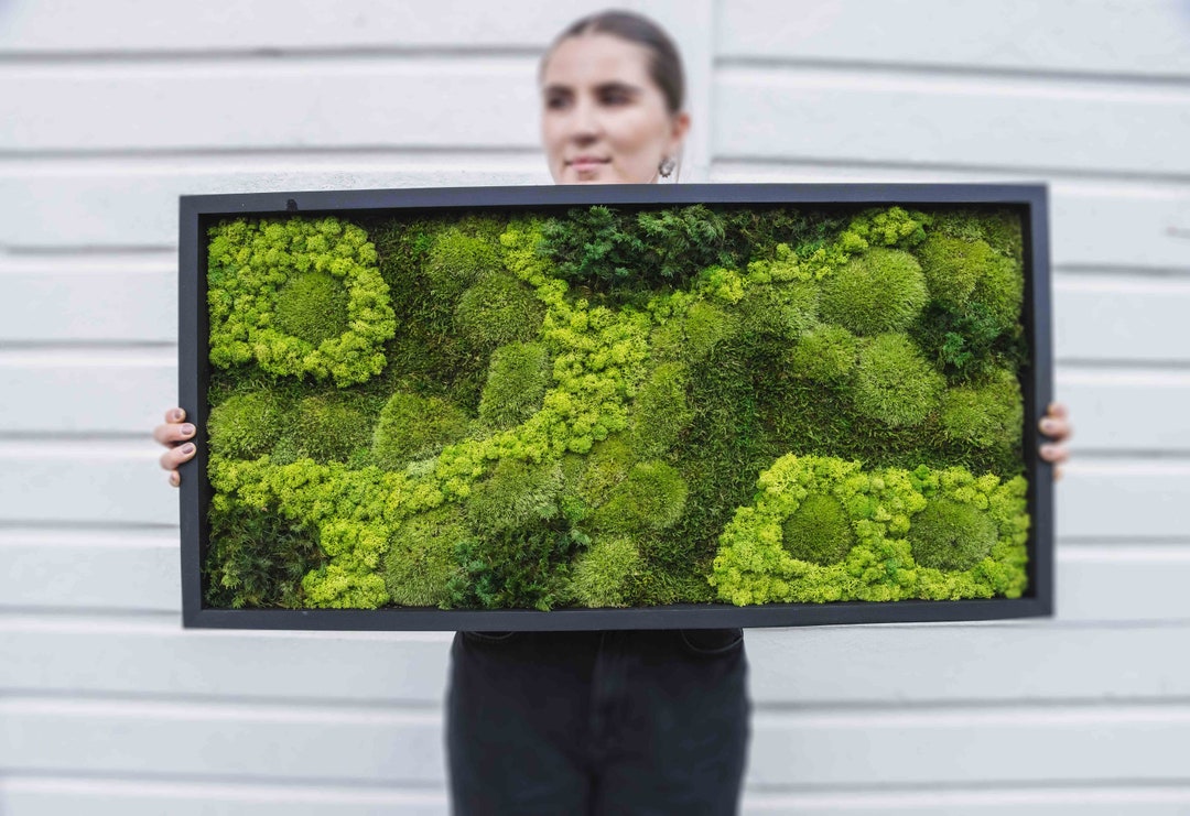 Dainava 1 Preserved Moss Wall Art Interior Moss Wall Green Wall Art