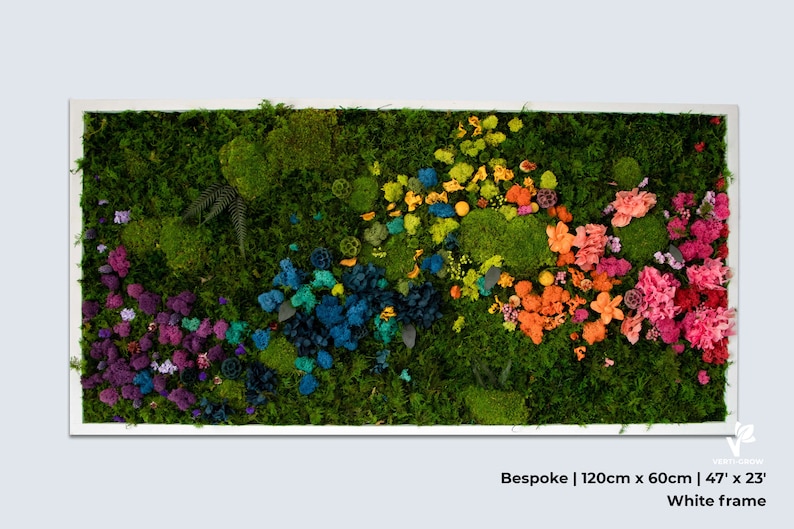 Rainbow Moss Wall Art With Bun Moss Colourful Lichen Flat Etsy