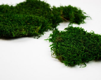 Dark Green Preserved flat moss | Sheet moss | Carpet moss | Craft supplies | DIY home decor | Moss art