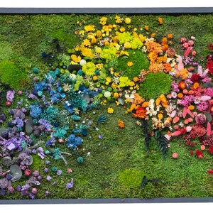 Rainbow Moss wall art with bun moss, colourful lichen, flat moss or fern moss Preserved and dried flowers Verti-Grow image 2