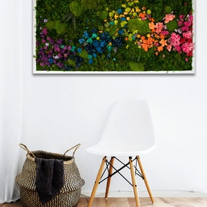 Rainbow Moss wall art with bun moss, colourful lichen, flat moss or fern moss Preserved and dried flowers Verti-Grow image 5