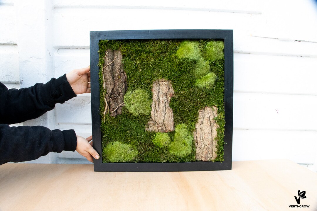 Epping Forest Moss Wall Art Trendy Home Decor Botanical Etsy
