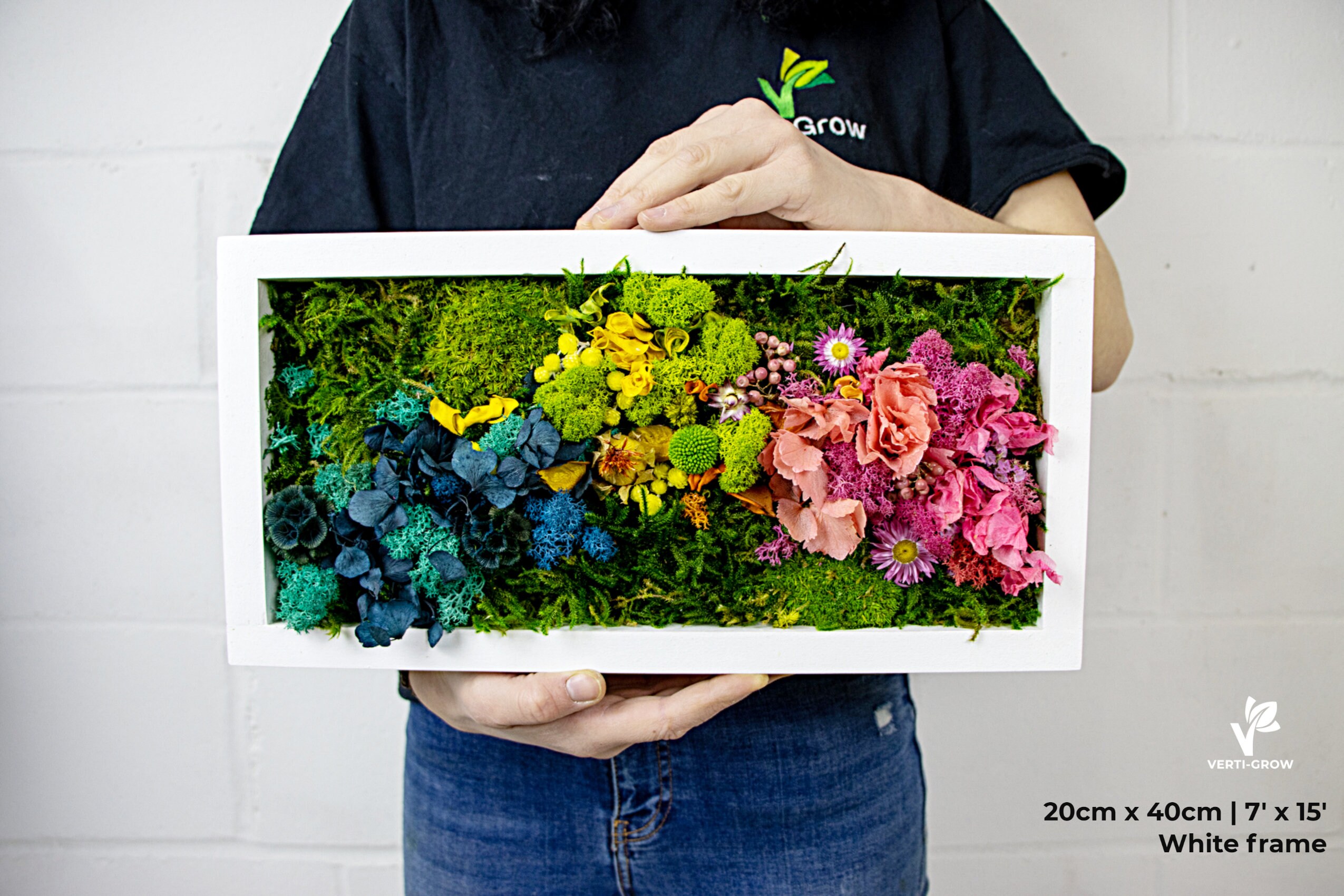 Upcycled Moss Walls - Medium — Urban Blooms