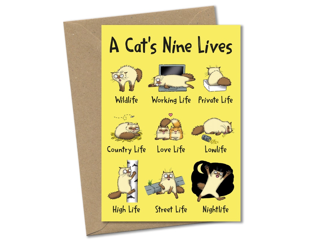 A Cat's Nine Lives Card, Funny Cat Card, Cat Cartoon Card Etsy