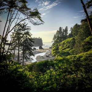May include: A view of a rocky coastline with lush green trees and a sandy beach. The water is calm and blue, and the sky is a bright blue with white clouds.