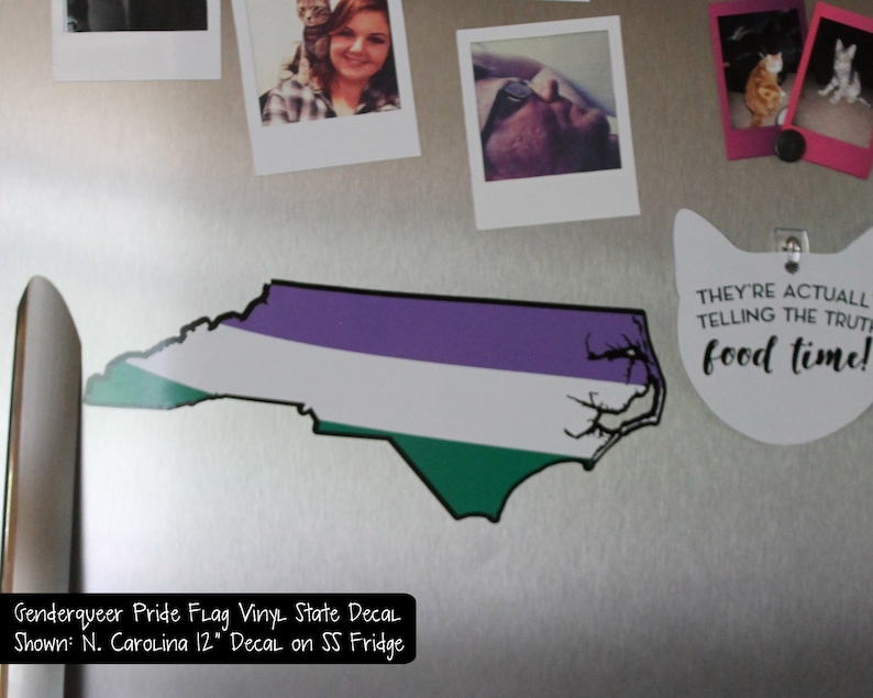 Fluid Pride Flag Layered Vinyl Sticker Genderqueer Pride US State Decal