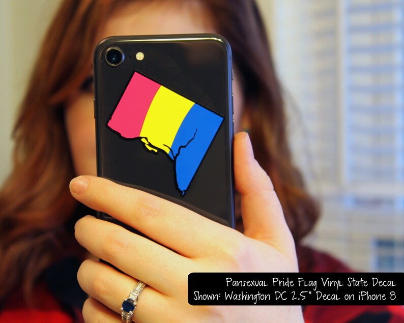 Pan Pride Flag Layered Vinyl Sticker Pansexual Pride US State Decal