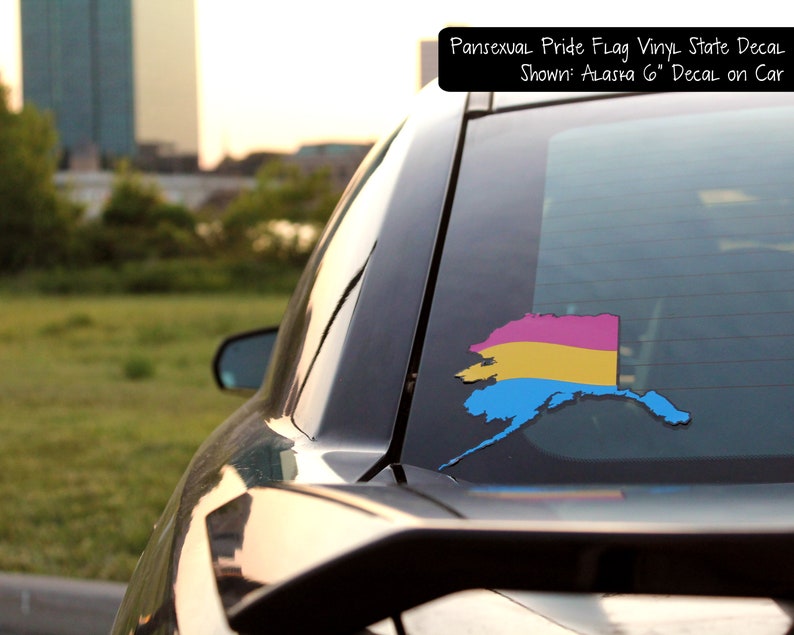 Pan Pride Flag Layered Vinyl Sticker Pansexual Pride US State Decal
