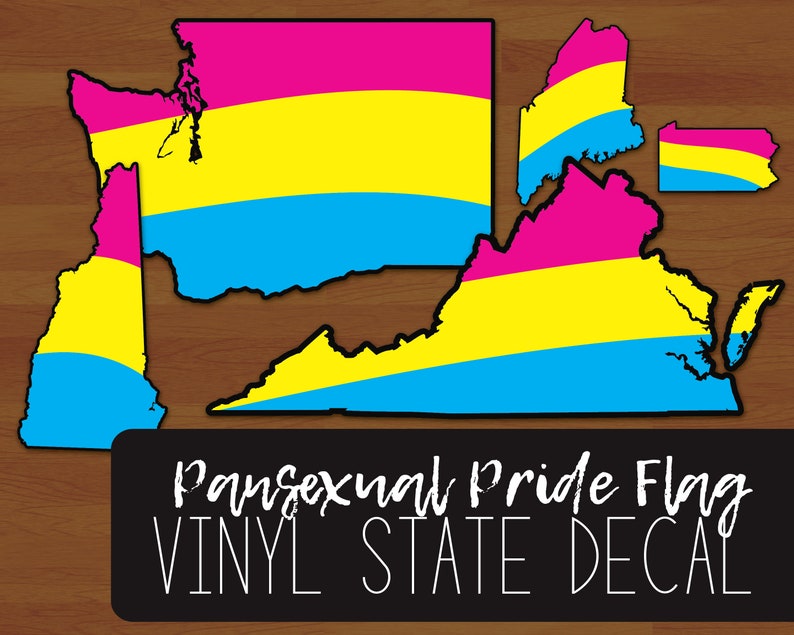 Pan Pride Flag Layered Vinyl Sticker Pansexual Pride US State Decal