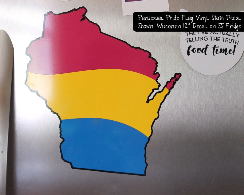 Pan Pride Flag Layered Vinyl Sticker Pansexual Pride US State Decal