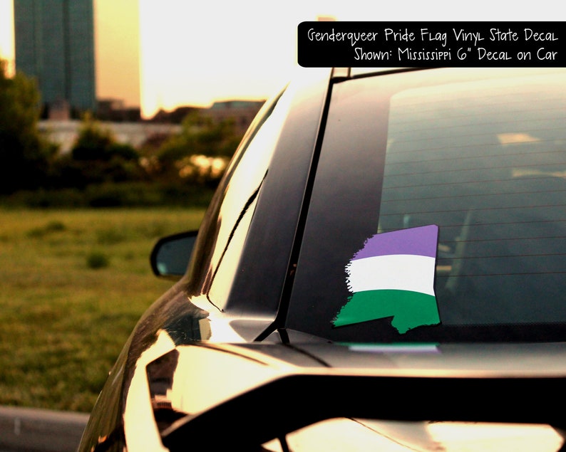 Fluid Pride Flag Layered Vinyl Sticker Genderqueer Pride US State Decal
