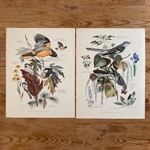 Arthur Singer - Etsy
