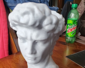 David Head Planter