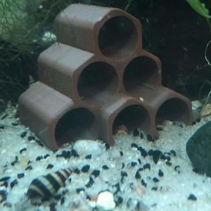 Shrimp Tubes for Aquarium / Fish Tank
