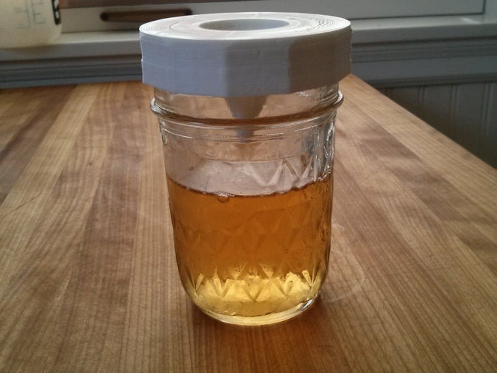 Fruit Fly Trap Mason Jar Lid Etsy