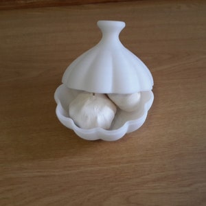 Garlic House / garlic storage / spice holder