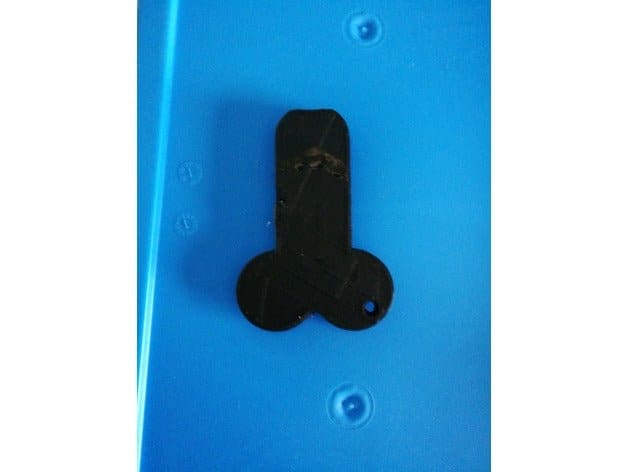 Phallic Keychains Phallic Whistle Keychain / A Phallus for Blowing / Bachelorette Gift ...