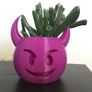 May include: A pink devil emoji planter with a green succulent plant inside.