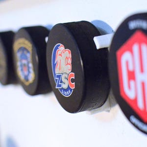 Hockey Puck Wall Mount
