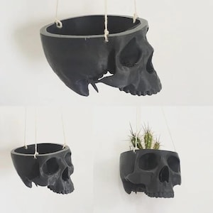 May include: Three black skull-shaped hanging planters. One planter holds a small cactus. The planters are suspended by white cords against a white background. The skull planters are a unique decorative item.