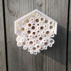 Bee Hotel