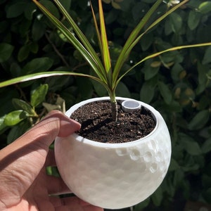 Golf Ball Planter