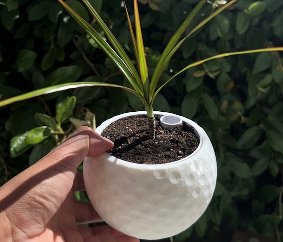 big cheap pots for plants Buy Big Sonoma Planter Set of 4 in Clay 22.0