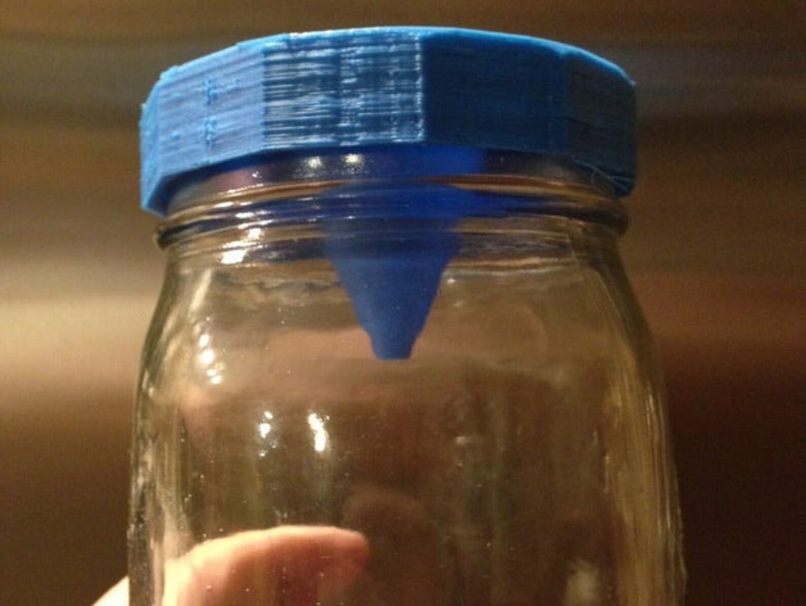 Fruit Fly Trap mason Jar Coperchio Etsy