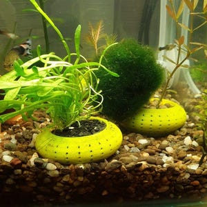 May include: An underwater scene with two yellow, dotted planters containing aquatic plants and a green moss ball. The planters are on a bed of pebbles, with fish swimming in the background. The plants have bright green leaves.