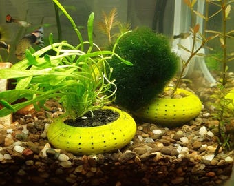 Aquarium Pflanzen Töpfe 3er Pack