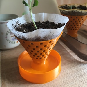 Puede incluir: Una pequeña planta creciendo en un filtro de papel blanco dentro de un cono de plástico naranja con una base naranja a juego. El cono tiene un patrón de rejilla y está diseñado para cultivar plantas.