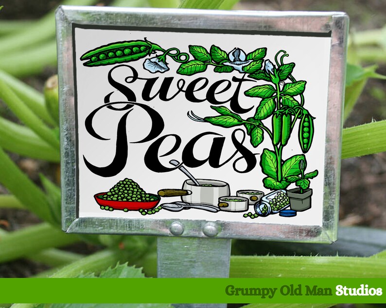 Free Free 90 Sweet Pea Clip Art Svg SVG PNG EPS DXF File