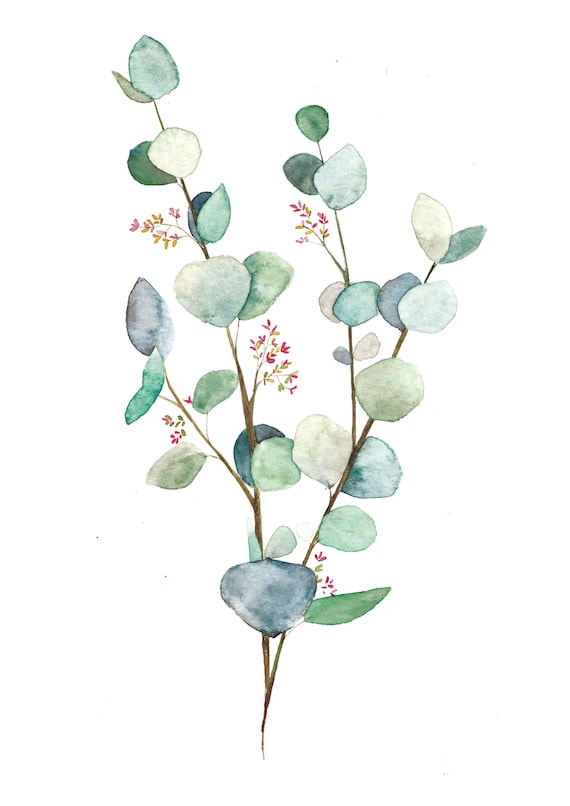 Eucalyptus Botanical Digital Print | Etsy