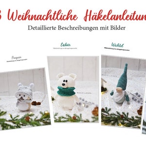 May include: A collection of 23 crochet Christmas patterns featuring various holiday characters, including a snowman, penguin, Santa Claus, and a gnome. The patterns are presented on individual cards with a white background and a festive green border.