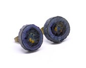 Holzohr plug Cabochon blue 12 mm natural wood round Astscheiben Earrings