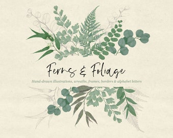Ferns & Foliage Illustrations
