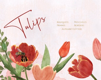 Tulip Clipart, WatercolorTulip Clipart, Floral Clipart, Spring Clipart, Tulip Frames, Tulip Border, Tulip Alphabet. Tulip Printables