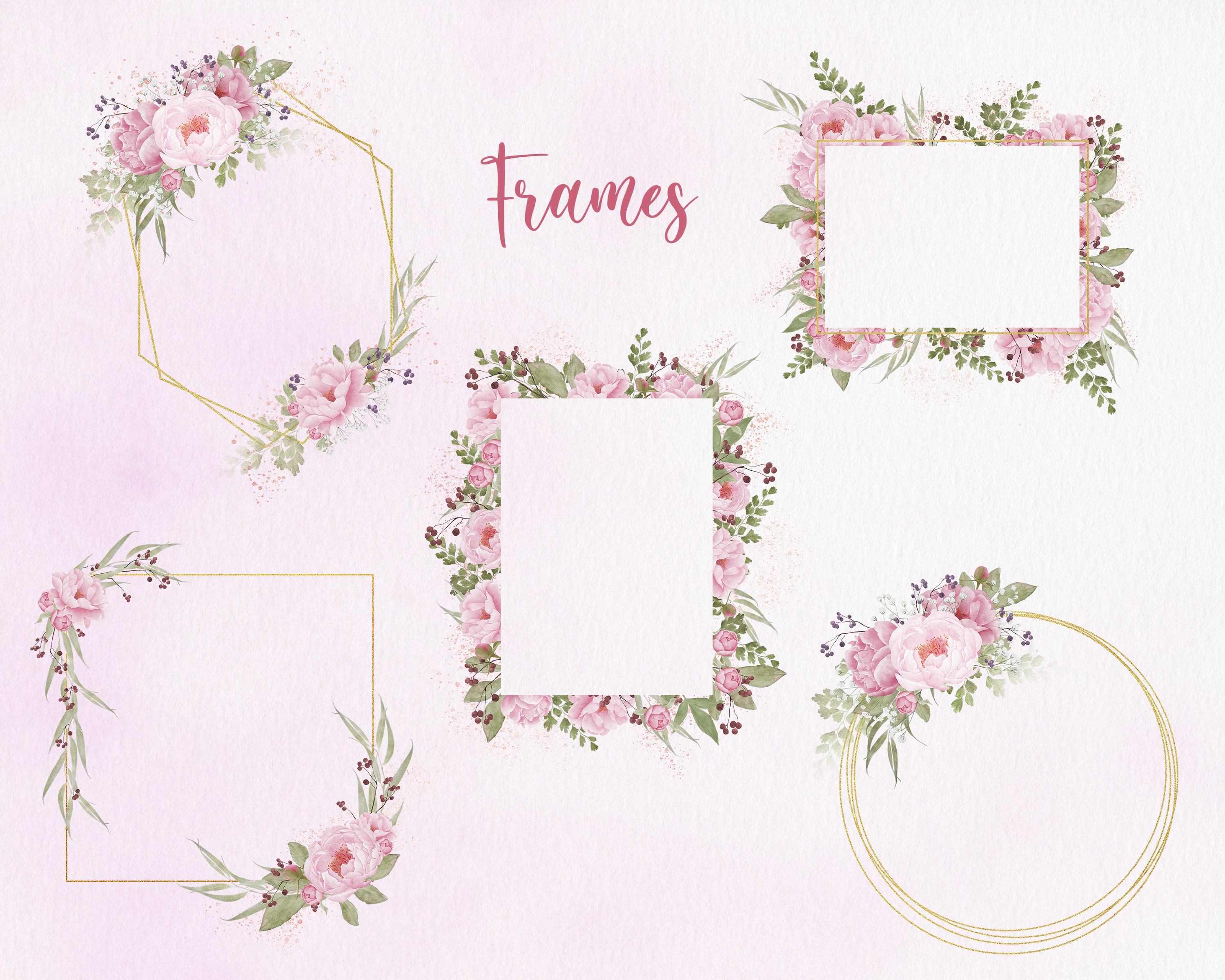 Pink Peony Illustrations, Pink Peony Clipart - Etsy